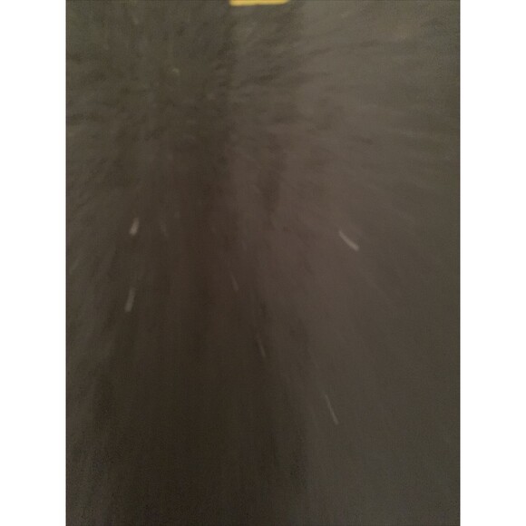 Men’s Hoodie Lincoln Magnet Elementary School Leopards Unknown Size - Picture 5 of 12